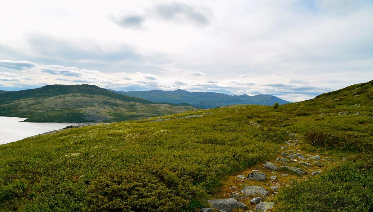 Flaksjølihøgda