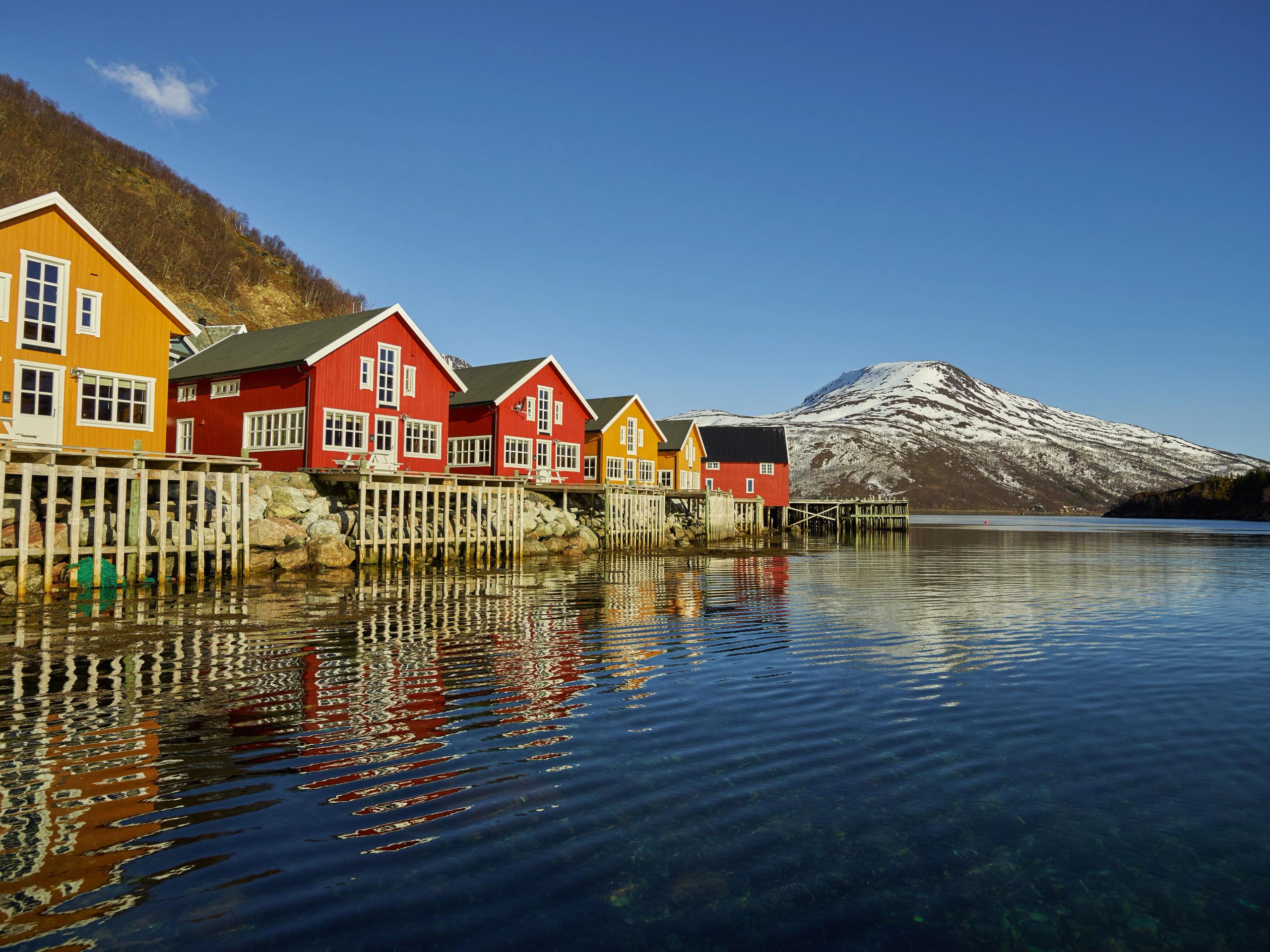 Lauklines in spring
