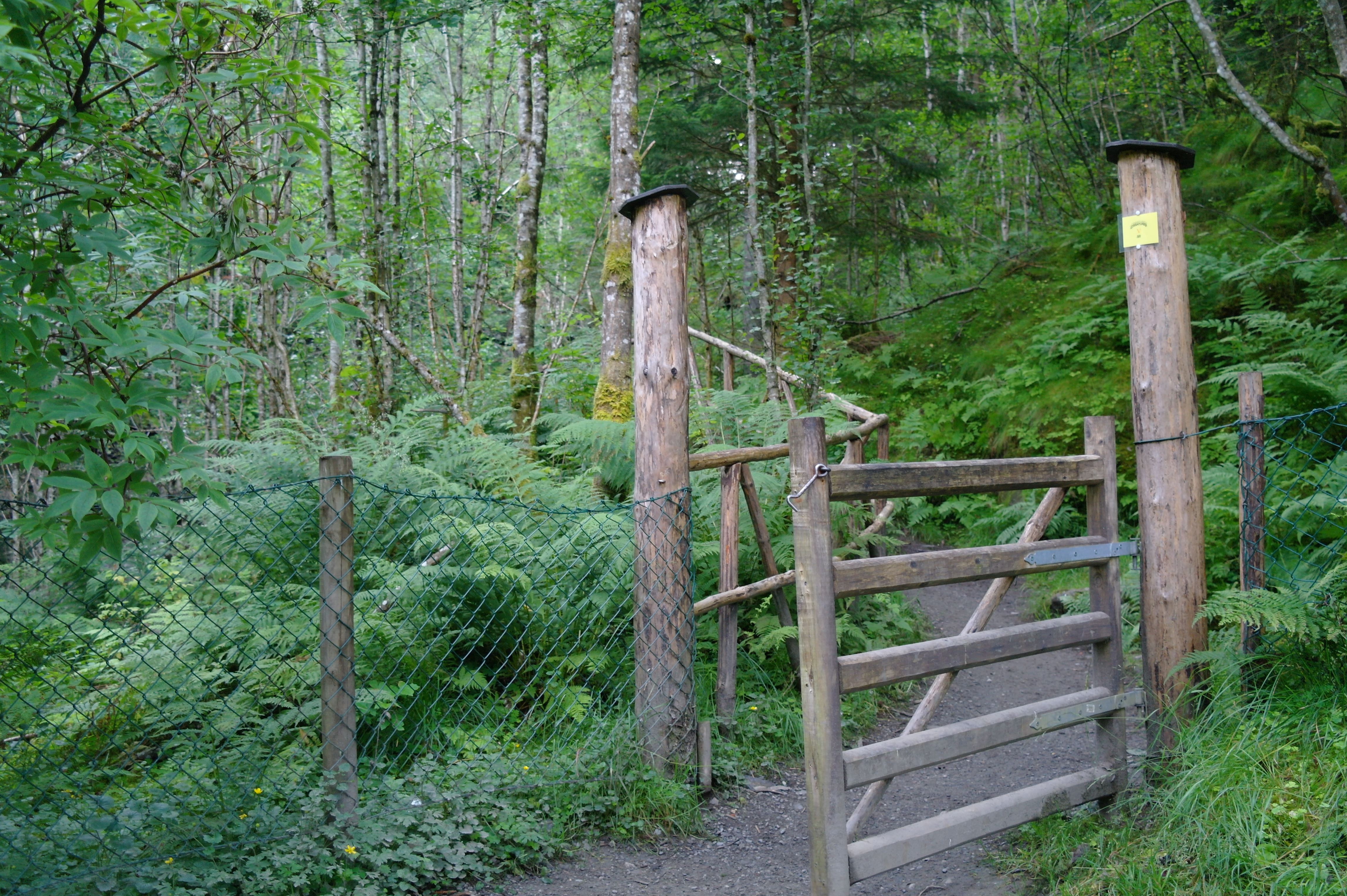 Bordalsgjelet