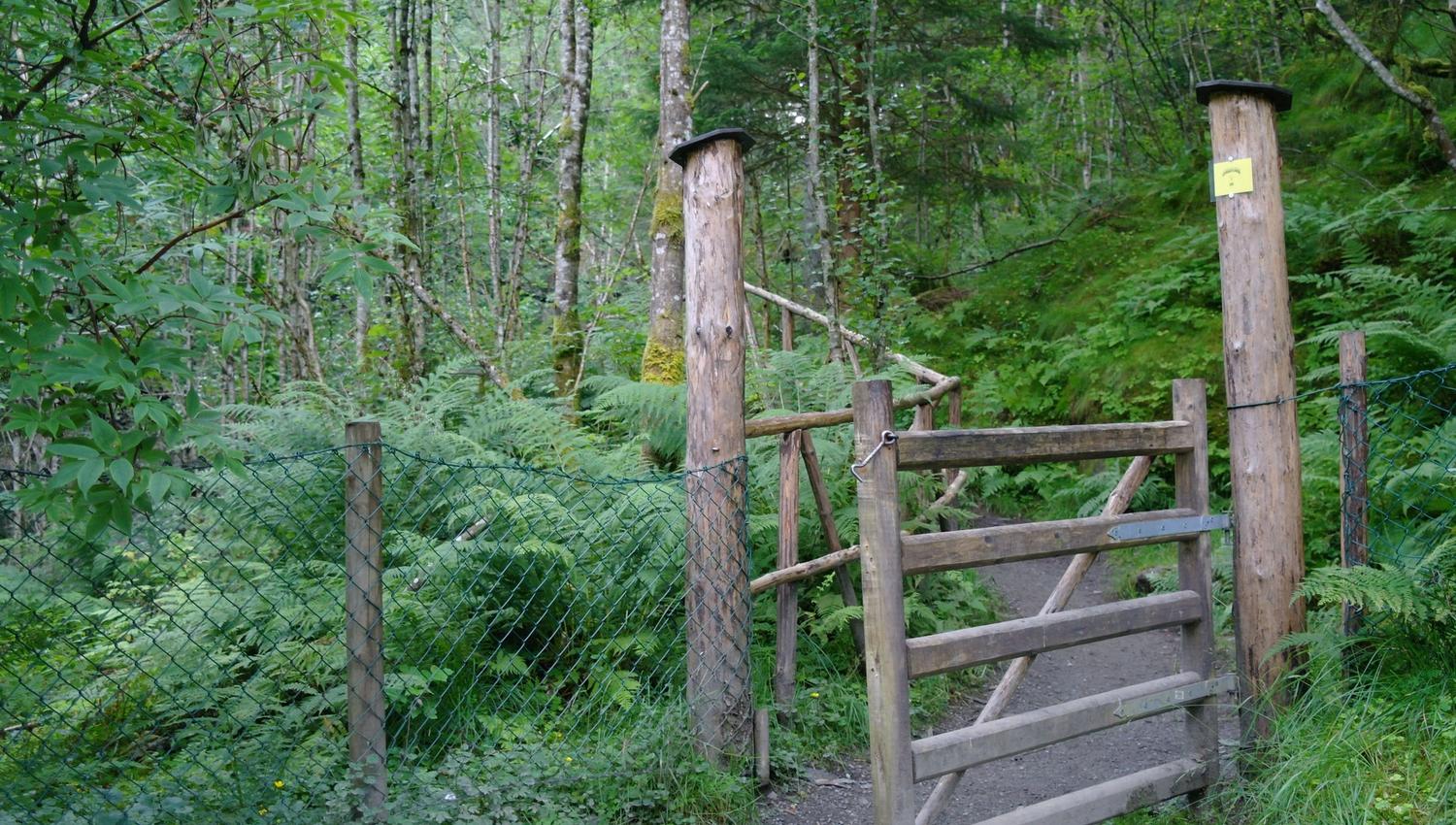 Bordalsgjelet