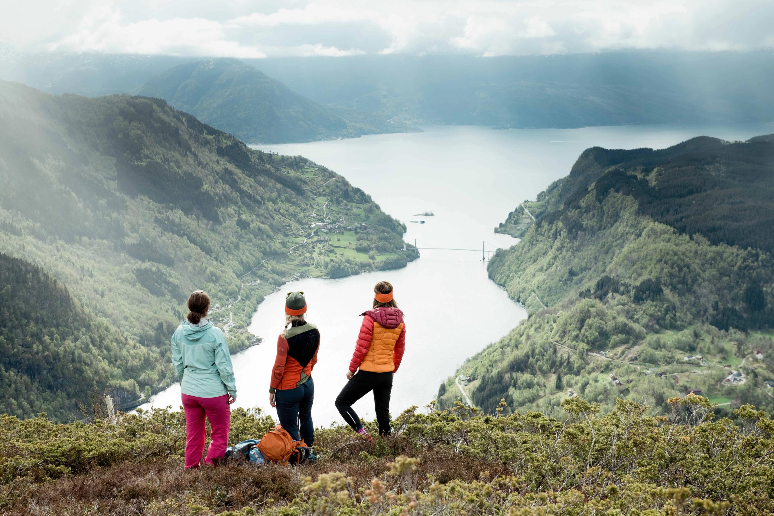 Three hikers enjoying the panoramic view of the Hardangerfjord on a guided mountain hike.