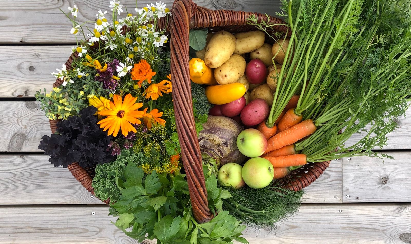 Vegetables from Tustna Ladestasjon