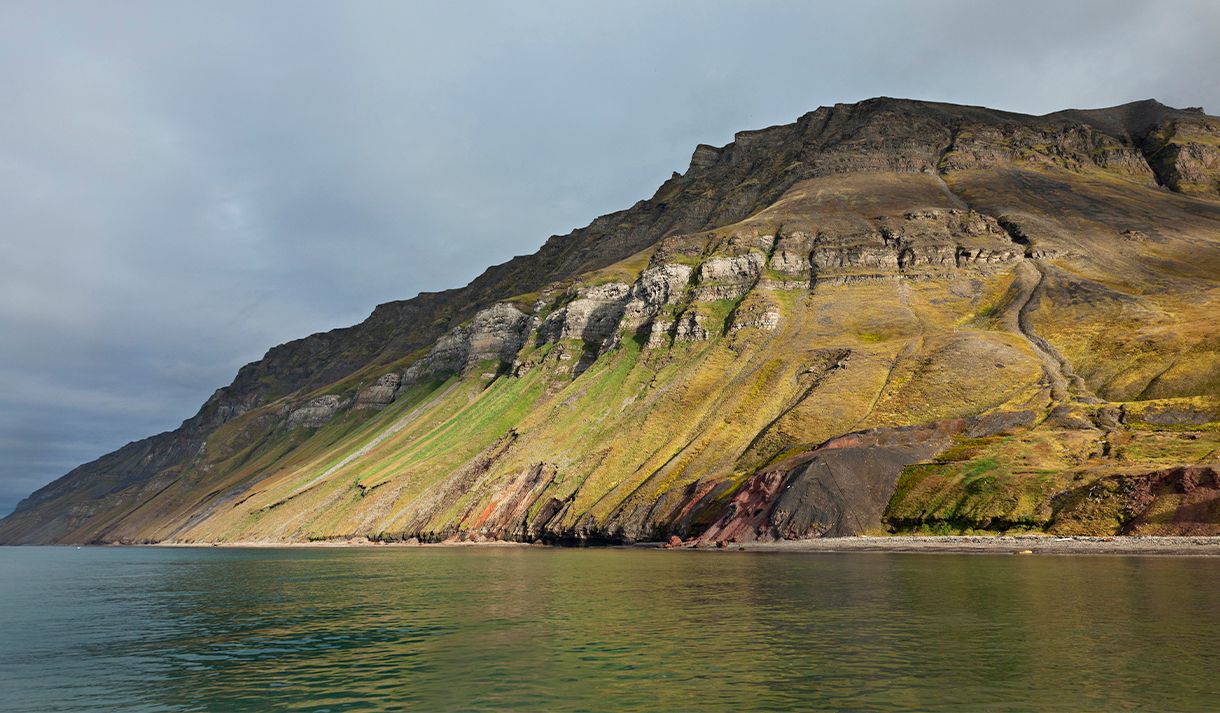 Fjellsider med grønn vegetasjon og fugleklipper høyt oppe i fjellet, med en strand og fjord i forgrunnen