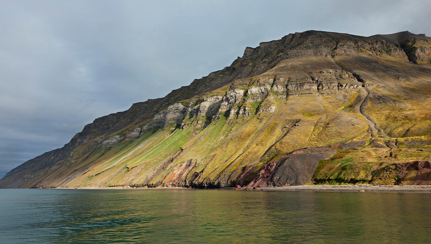 Fjellsider med grønn vegetasjon og fugleklipper høyt oppe i fjellet, med en strand og fjord i forgrunnen