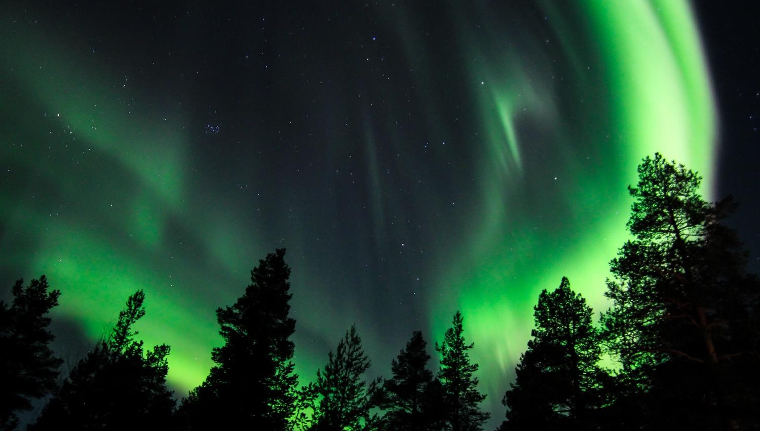 Experience the breathtaking beauty of the aurora borealis as vibrant green lights dance across the night sky, illuminating a forest of towering pine trees. This stunning natural phenomenon is a must-see for stargazers and adventure seekers alike!