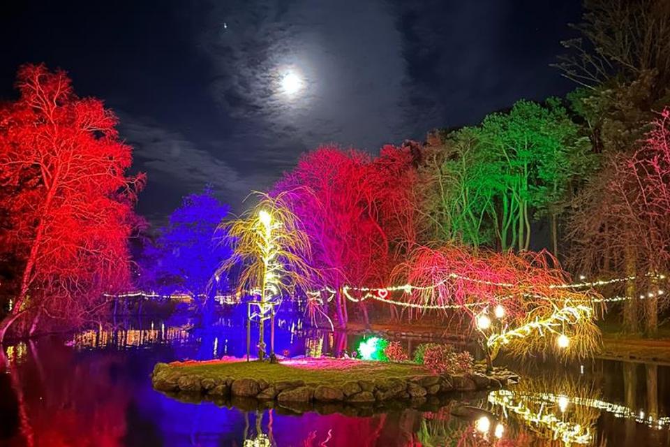 Park decorated for Christmas