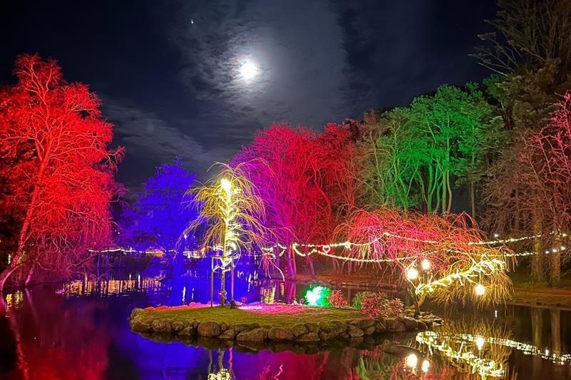 Park decorated for Christmas
