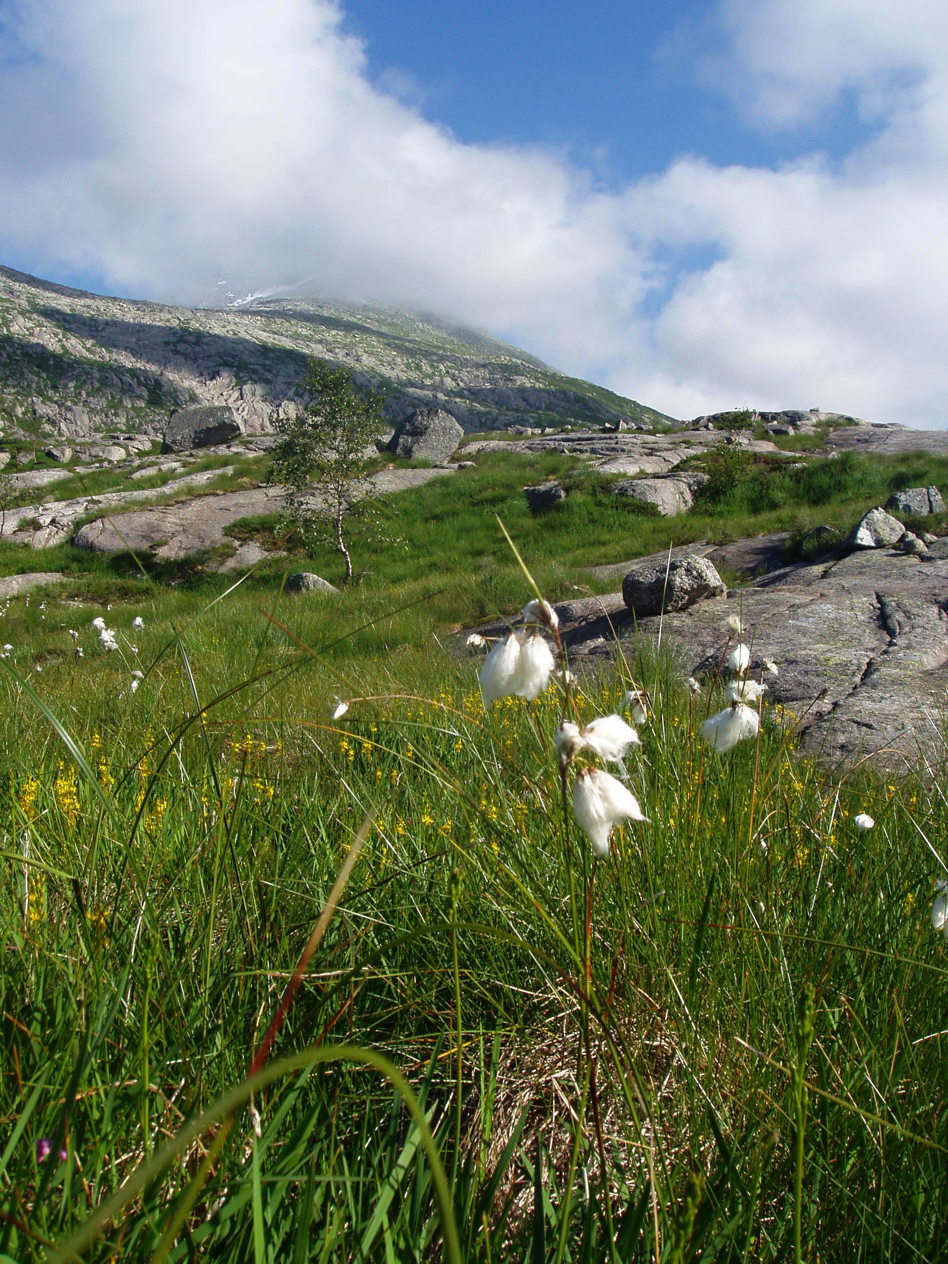 Hike to Ulvanosa from Utåker