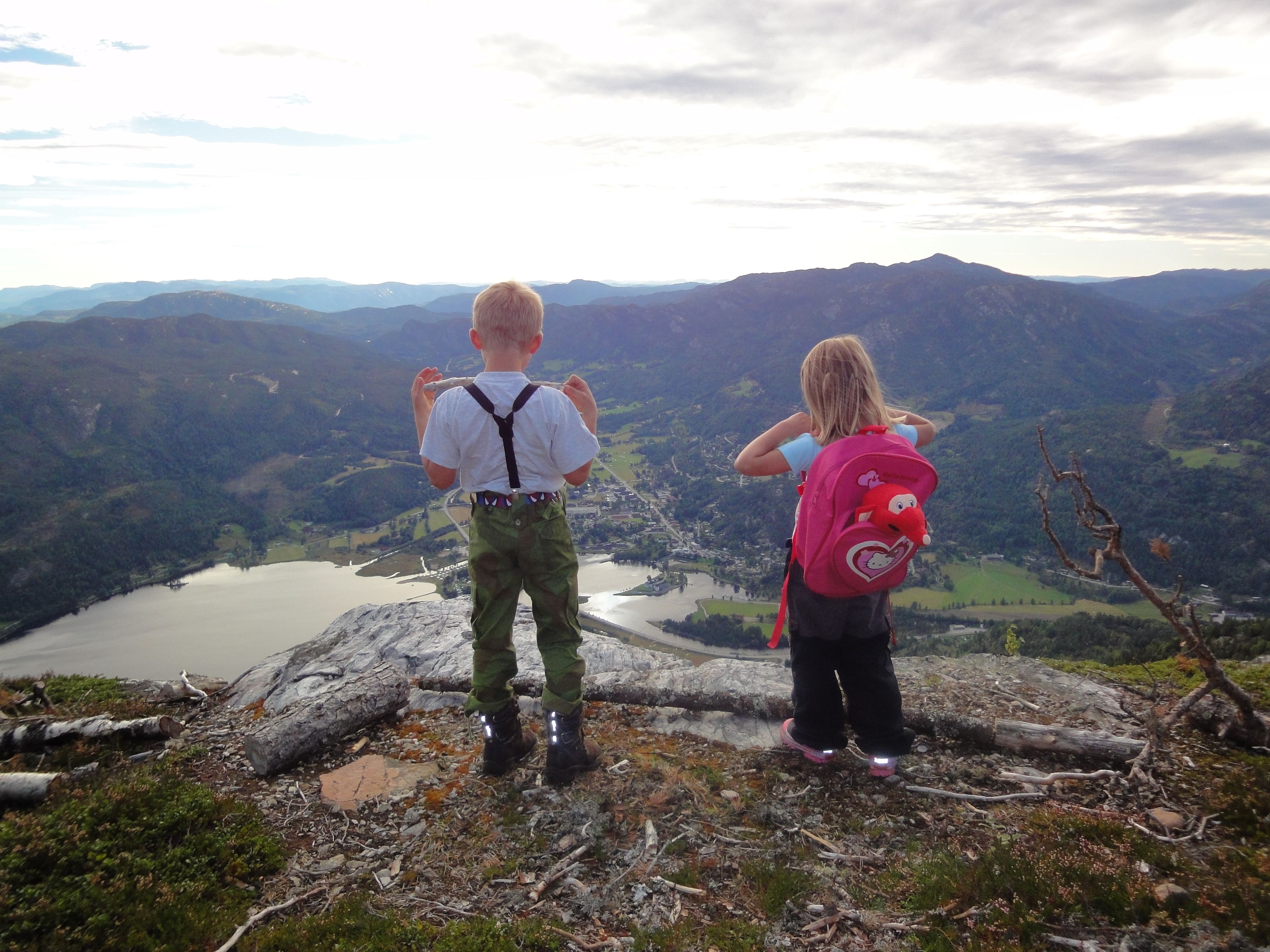 Bjørgefjell