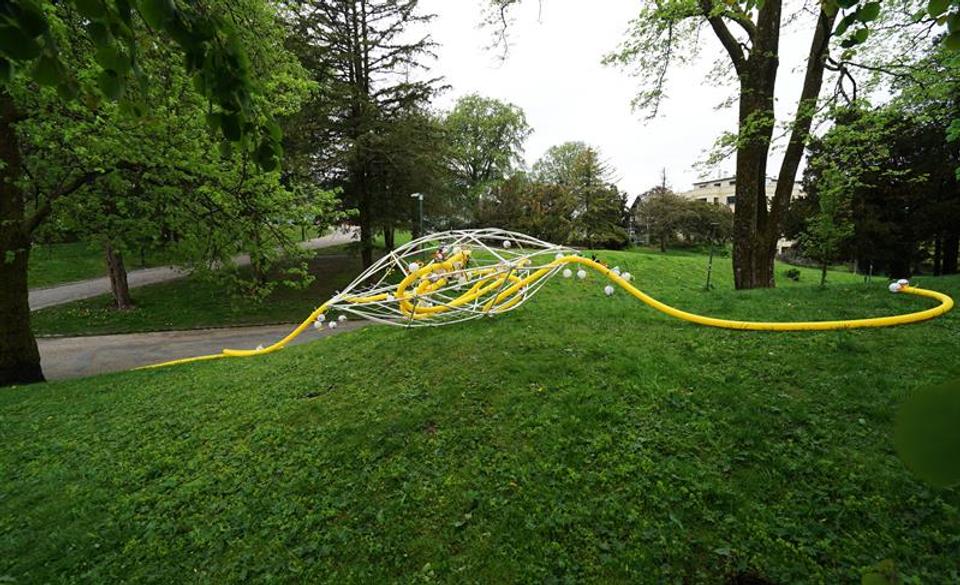 Fra "ARTi", serie "Parkplaneten", Nygårdsparken, mai 2026