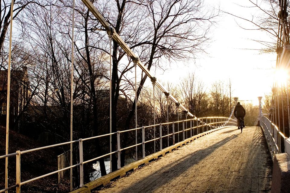 The bridge on a clear winter's day, naked trees