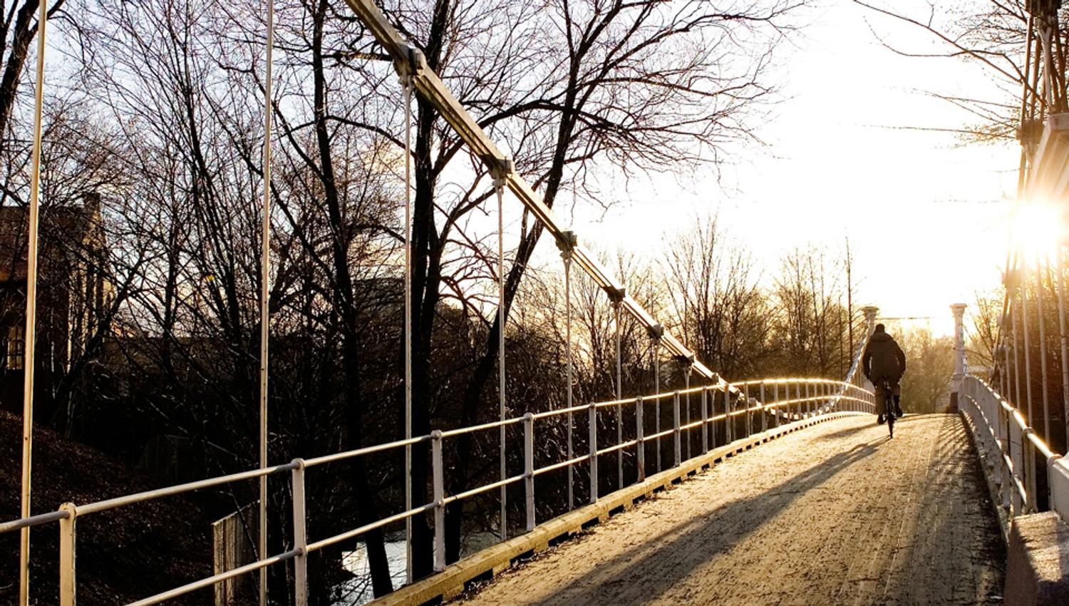The bridge on a clear winter's day, naked trees
