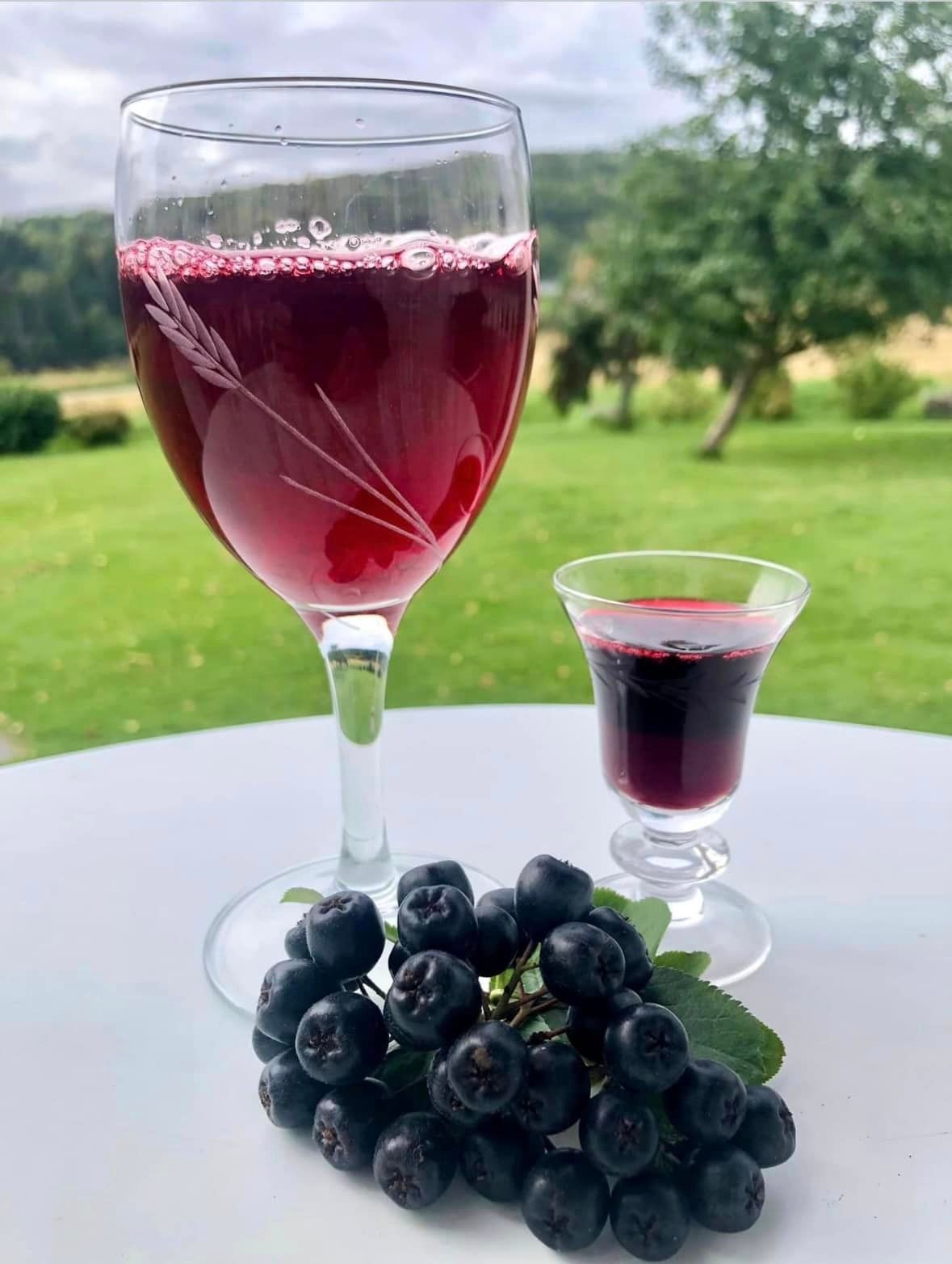 Saft og shot laget av Aronia