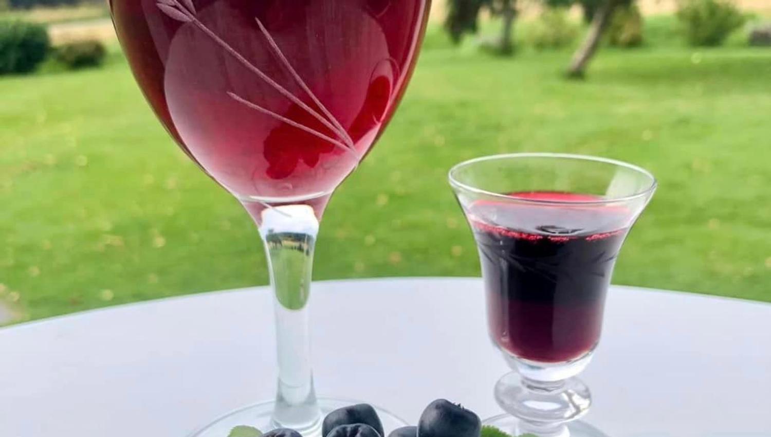 Saft og shot laget av Aronia