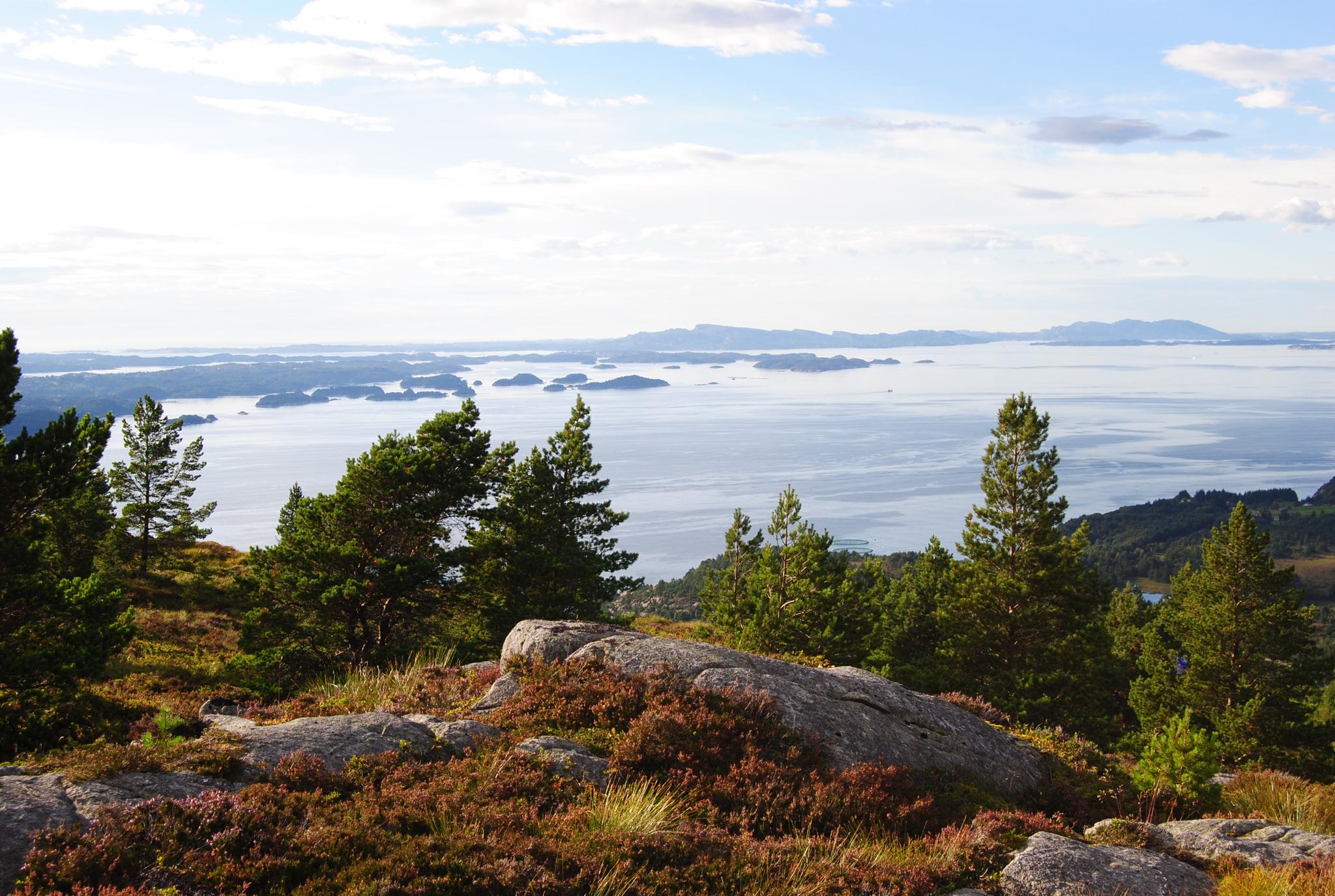 Tur til Gjøvågsvarden