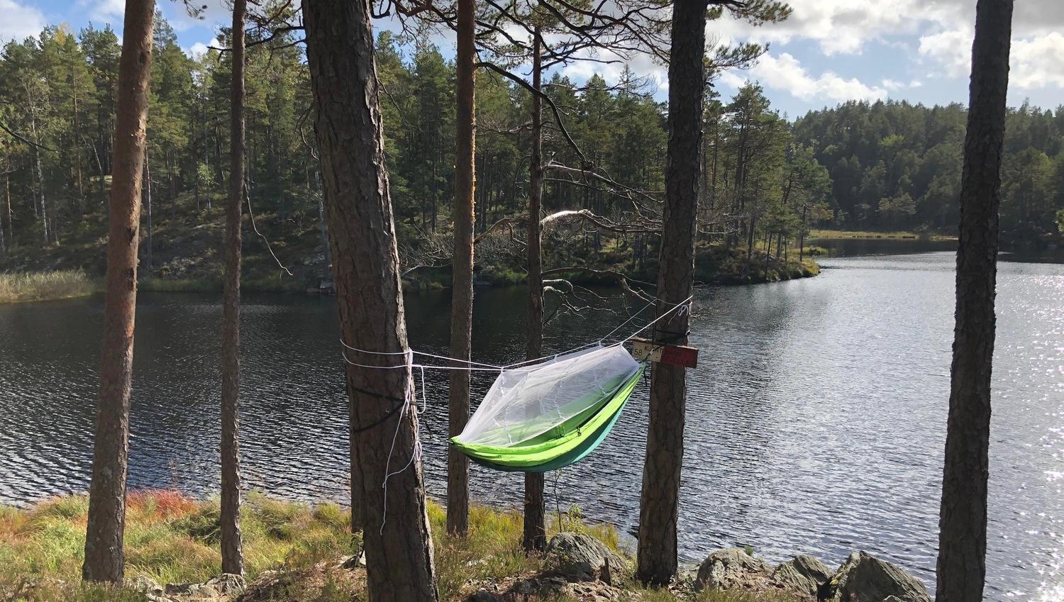 Hengekøye in the woods