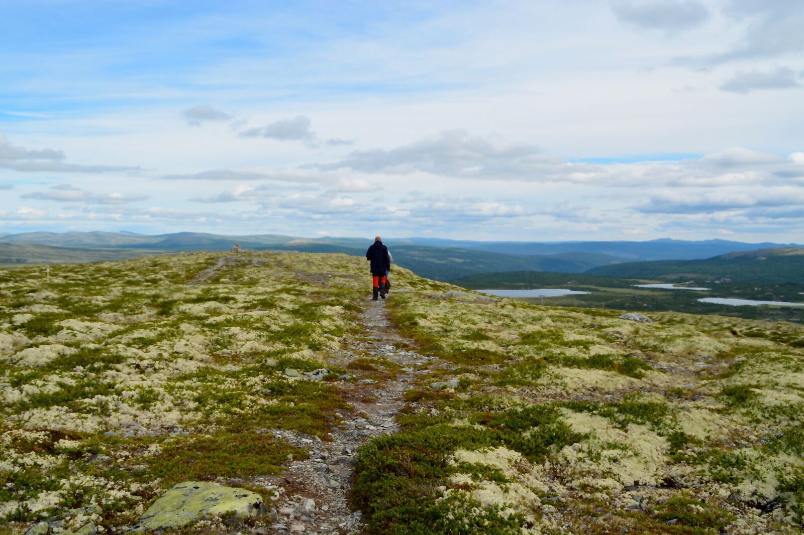 Flaksjølihøgda