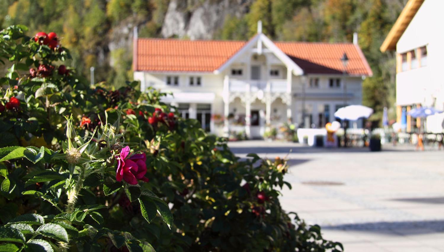 house at Dalen in the summer