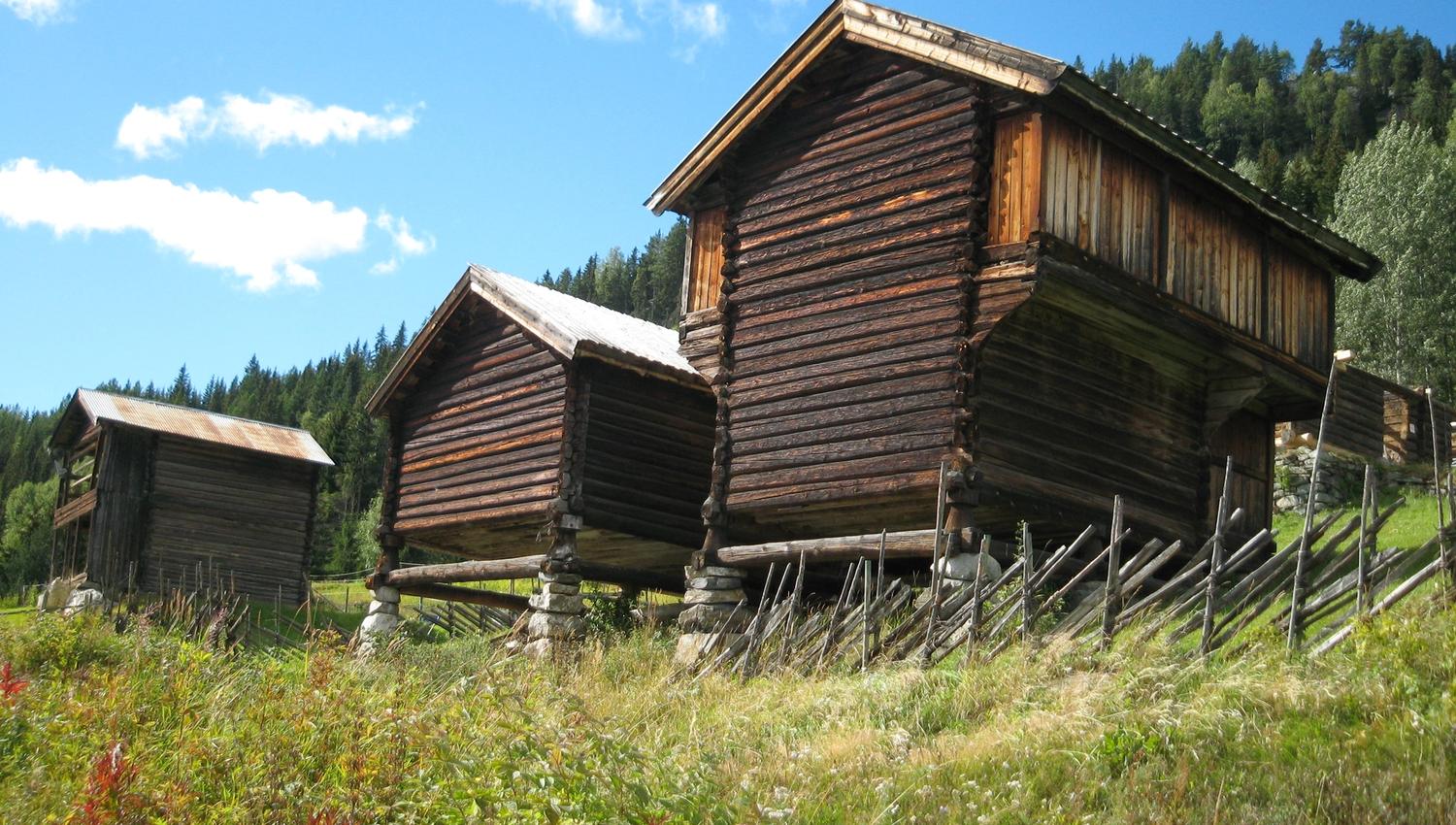 Gol Bygdemuseum Skaga