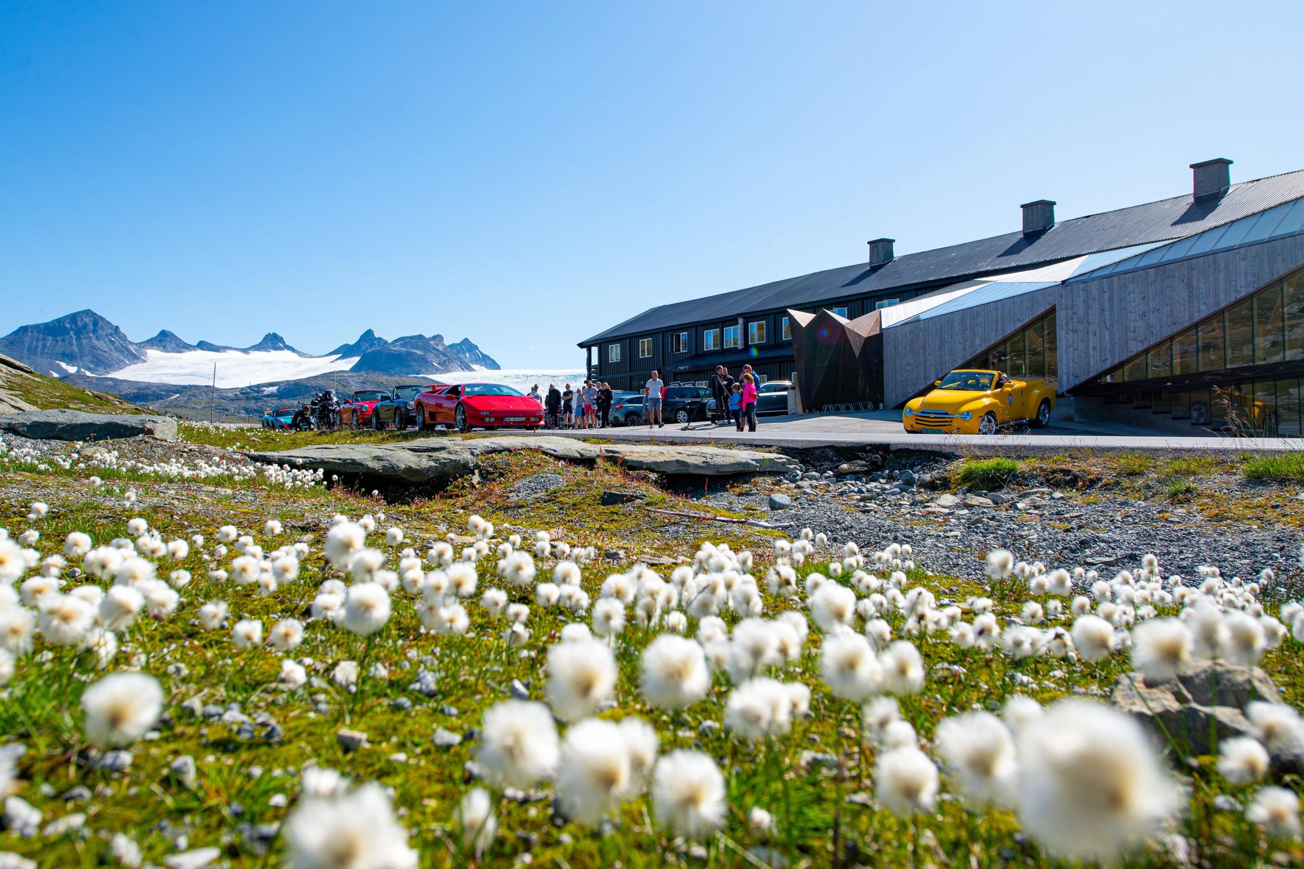 Blomar i forgrunnen, moderne fjellbygg og parkerte bilar med folk, med snødekte fjell under klar blå himmel..