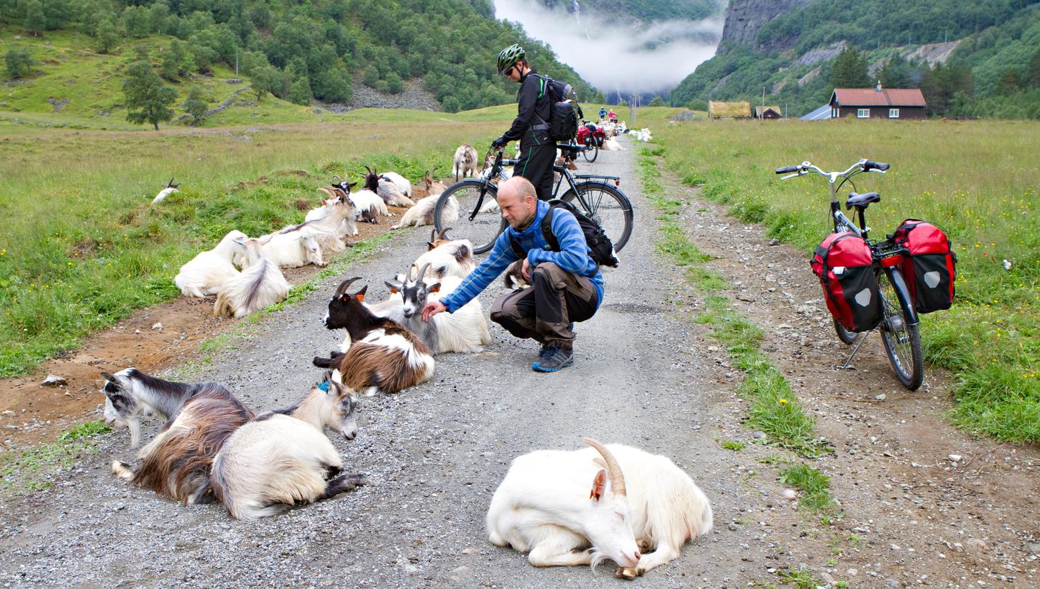 Rallarvegen