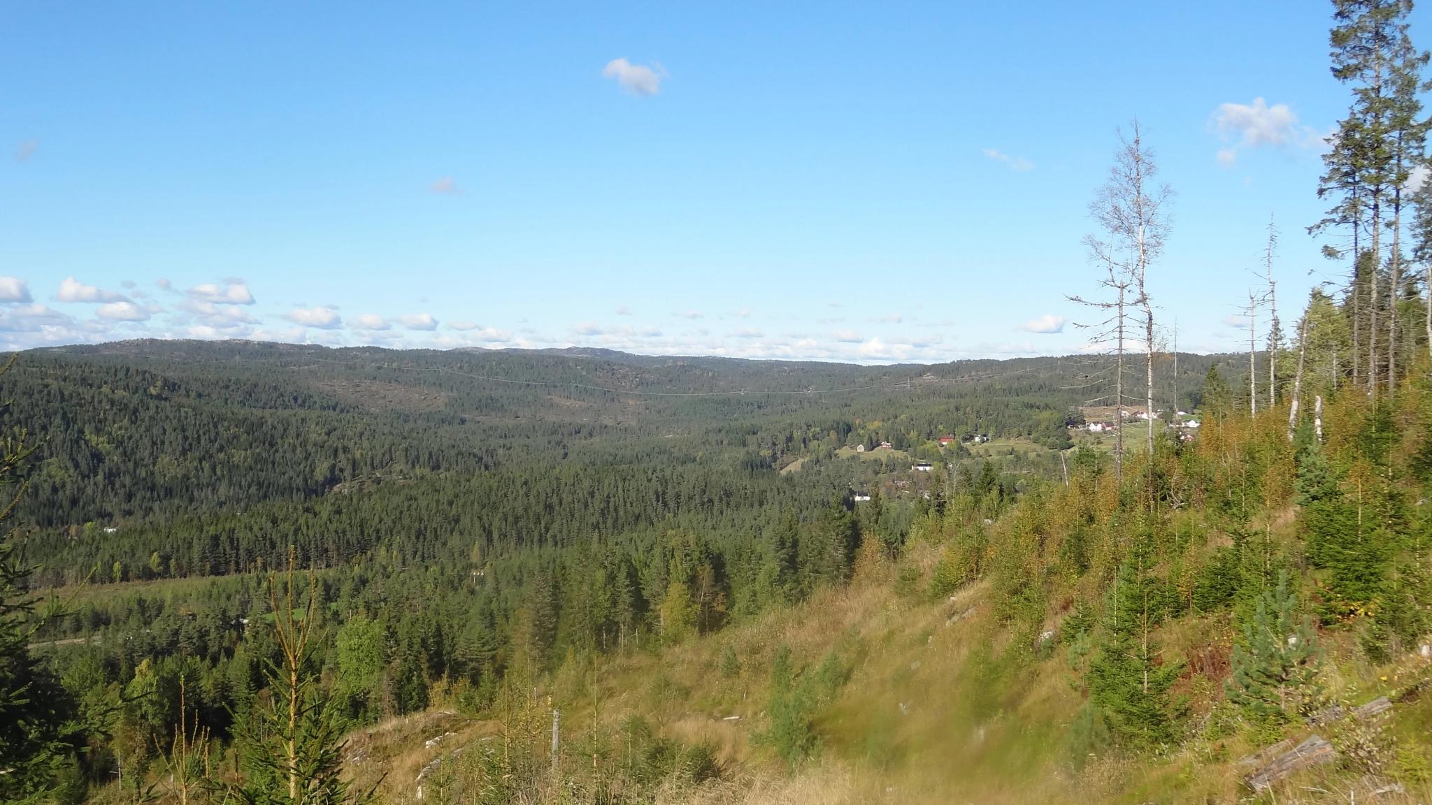 Almannavegen - return trip 6,4 km