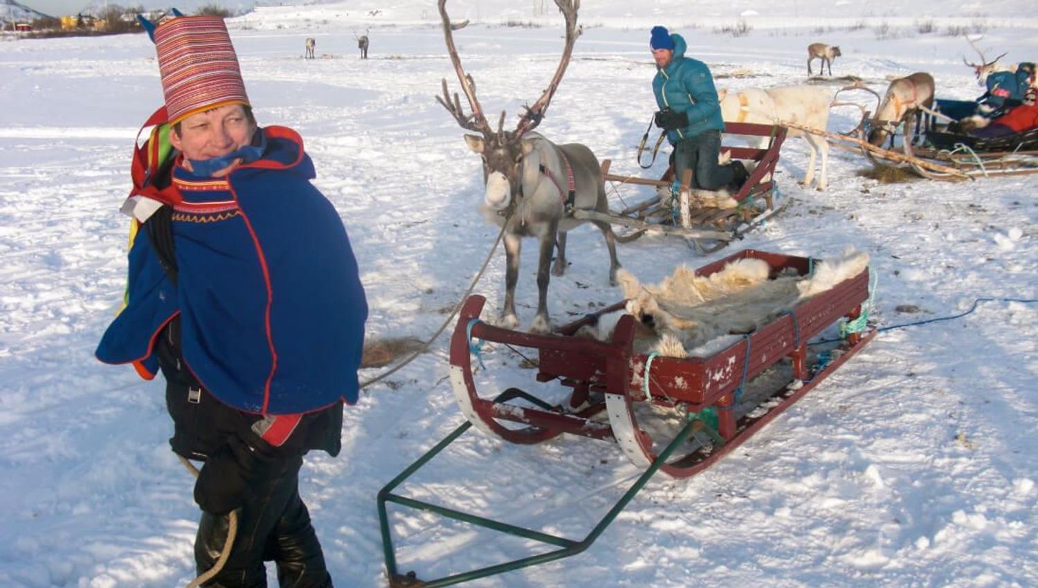 Reindeer sledding in Tromsø