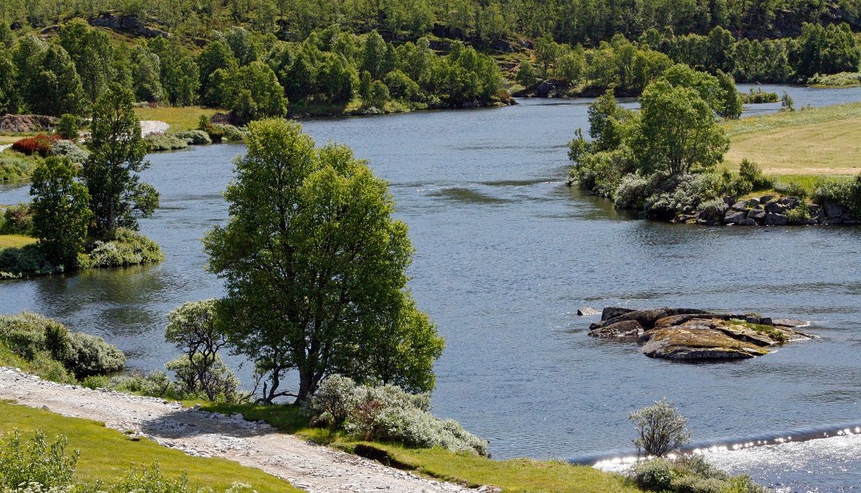 View of the river below the campground.