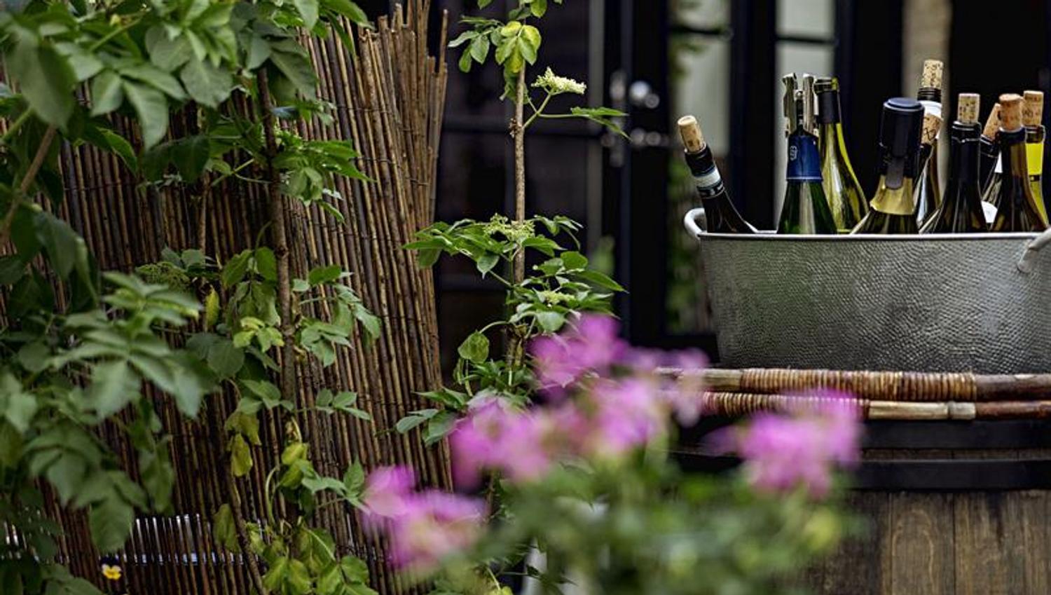 Detalj av planter og en bøtte med vinflasker i