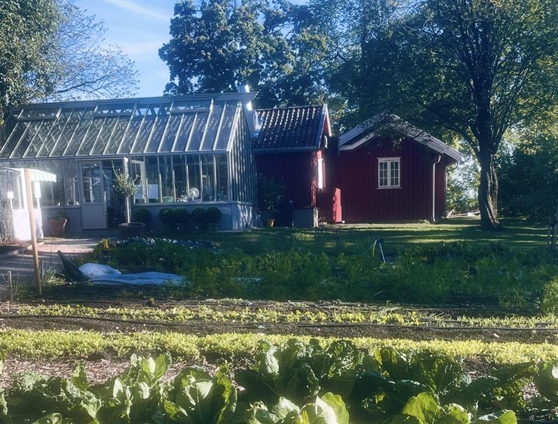 Fåbro Gård med drivhus