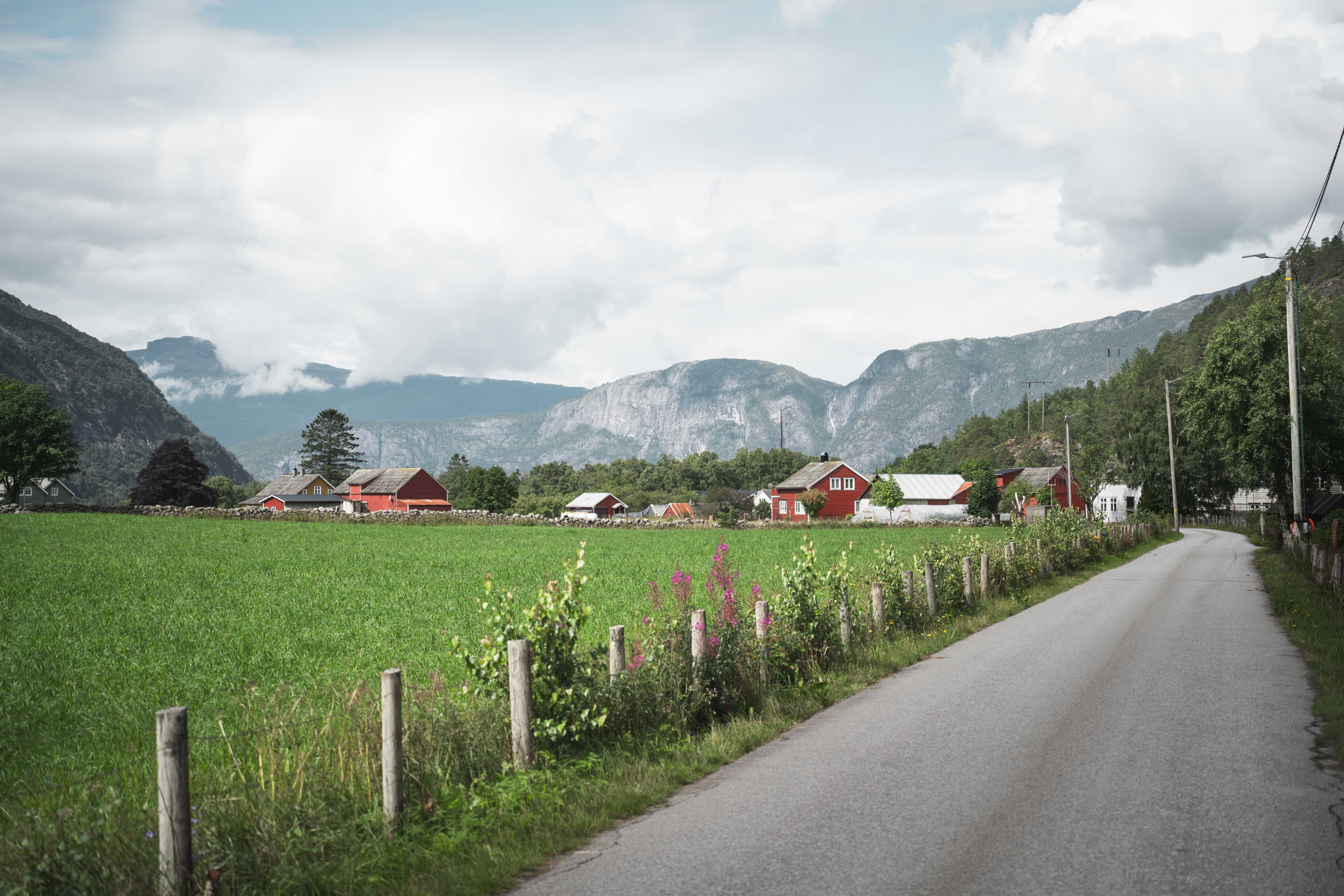 A road through green fields with red houses and mountains in the background.
