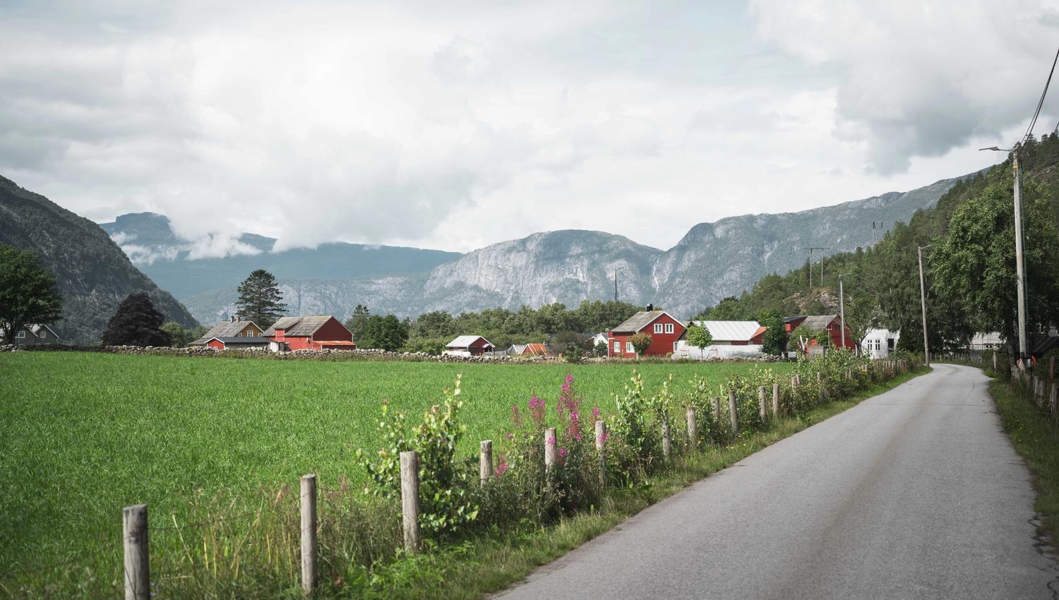 A road through green fields with red houses and mountains in the background.