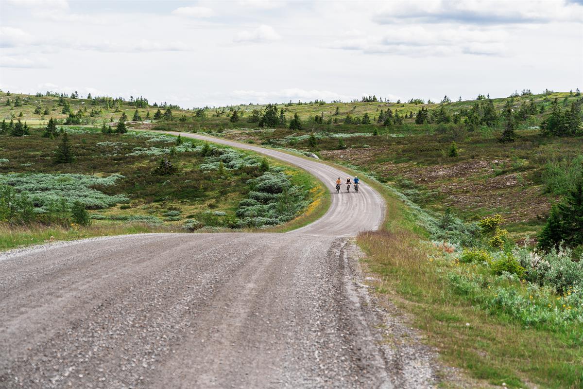 Drei Radfahrer fahren auf einer kurvigen Schotterstraße durch eine grüne Hochgebirgslandschaft von der Kamera weg.