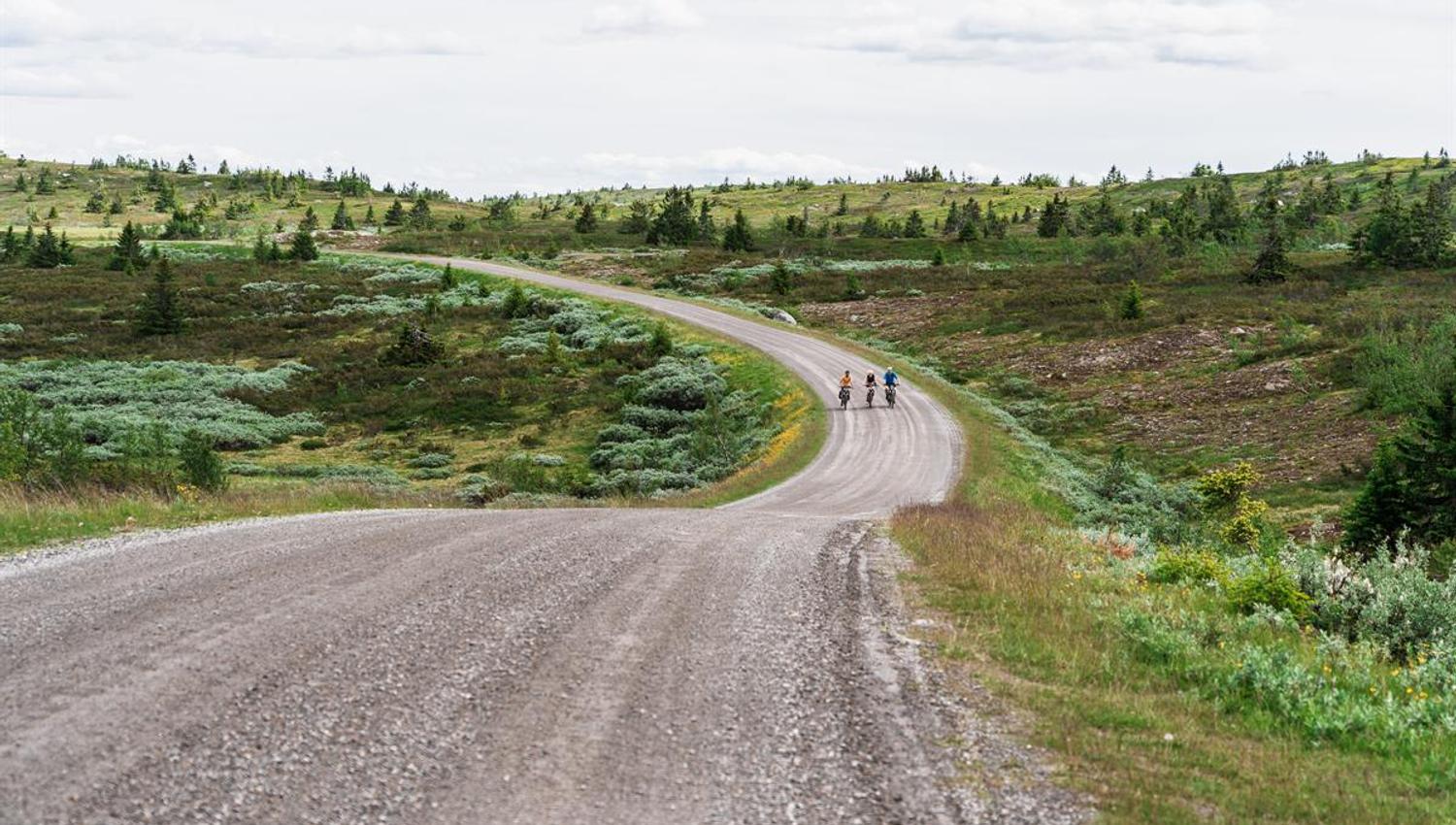 Drei Radfahrer fahren auf einer kurvigen Schotterstraße durch eine grüne Hochgebirgslandschaft von der Kamera weg.