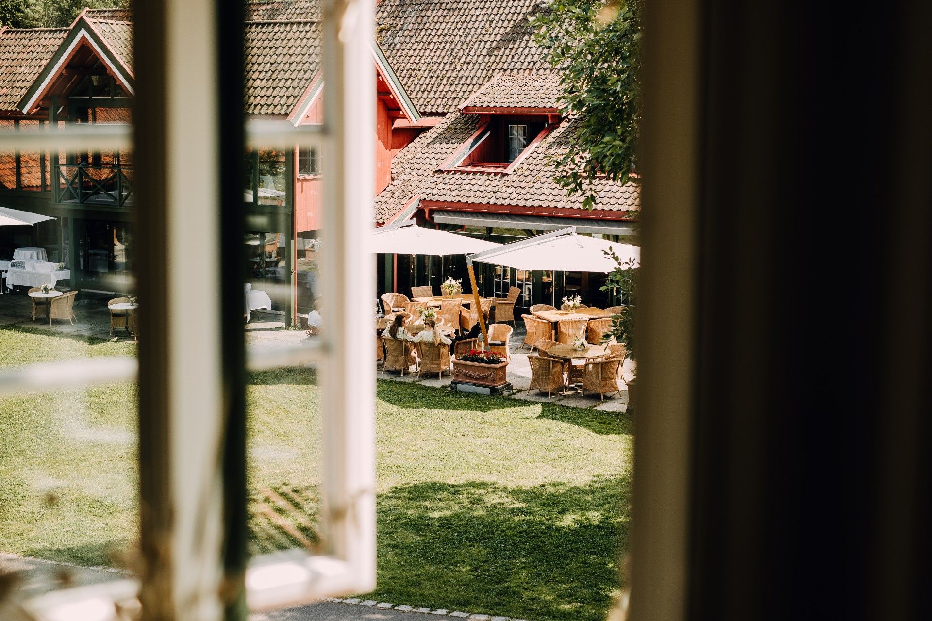 Photo taken from window. Green garden.