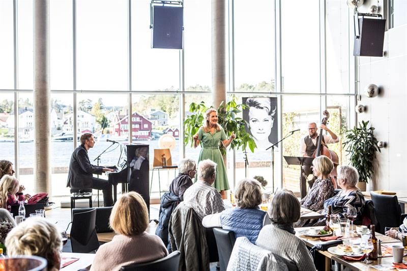 concert at Ælvespeilet 