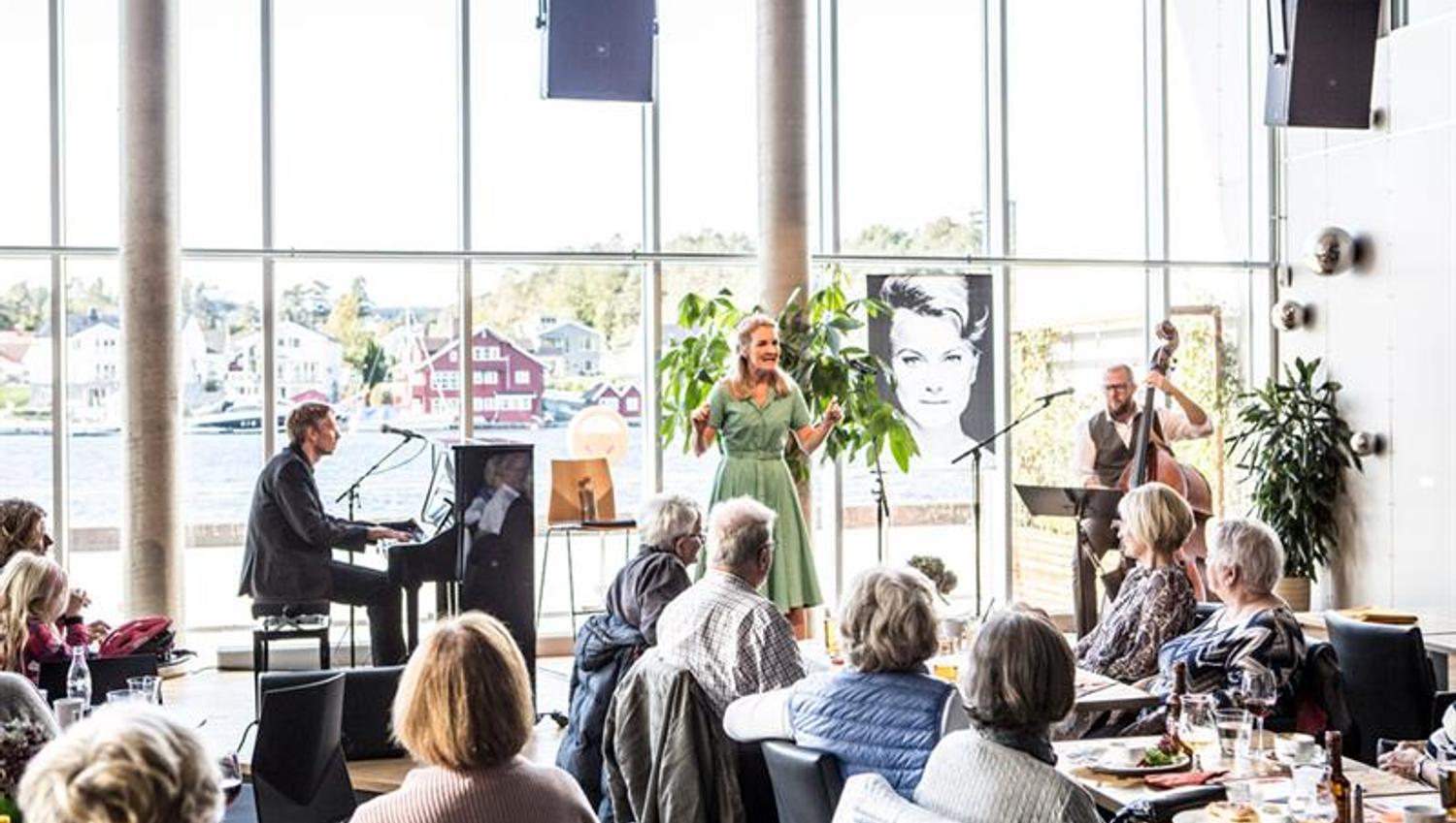 concert at Ælvespeilet