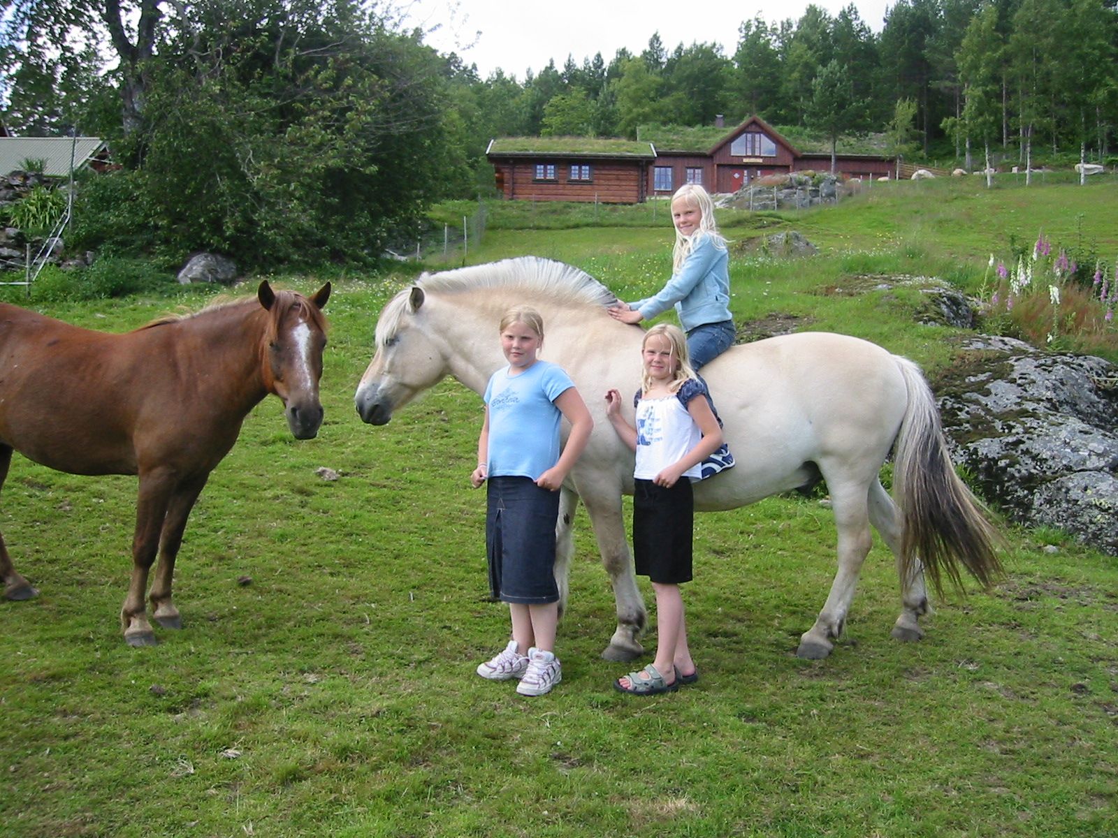 Jenter og hester på Røyland Gård