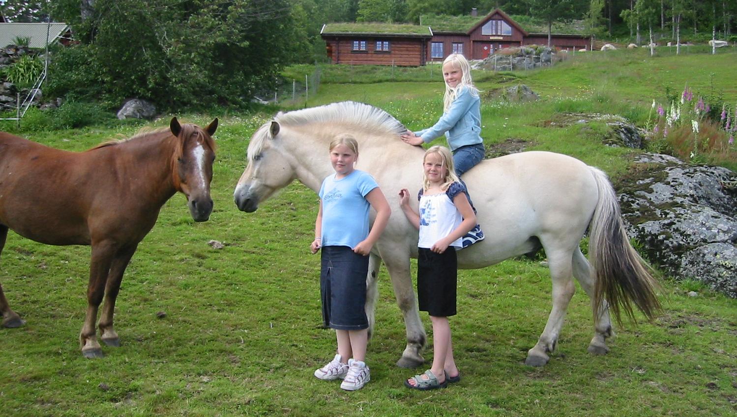 Jenter og hester på Røyland Gård
