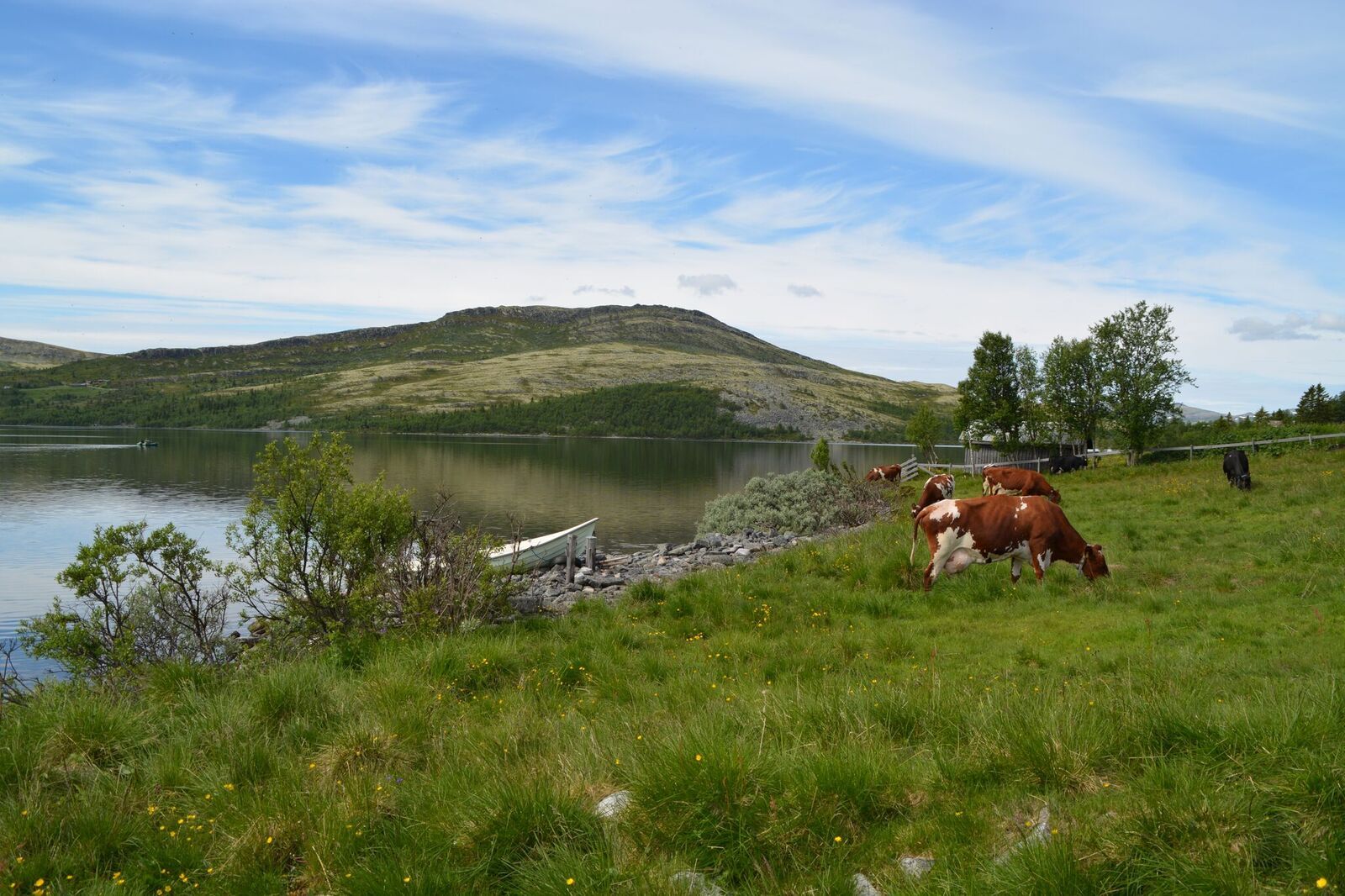 Flaksjøen