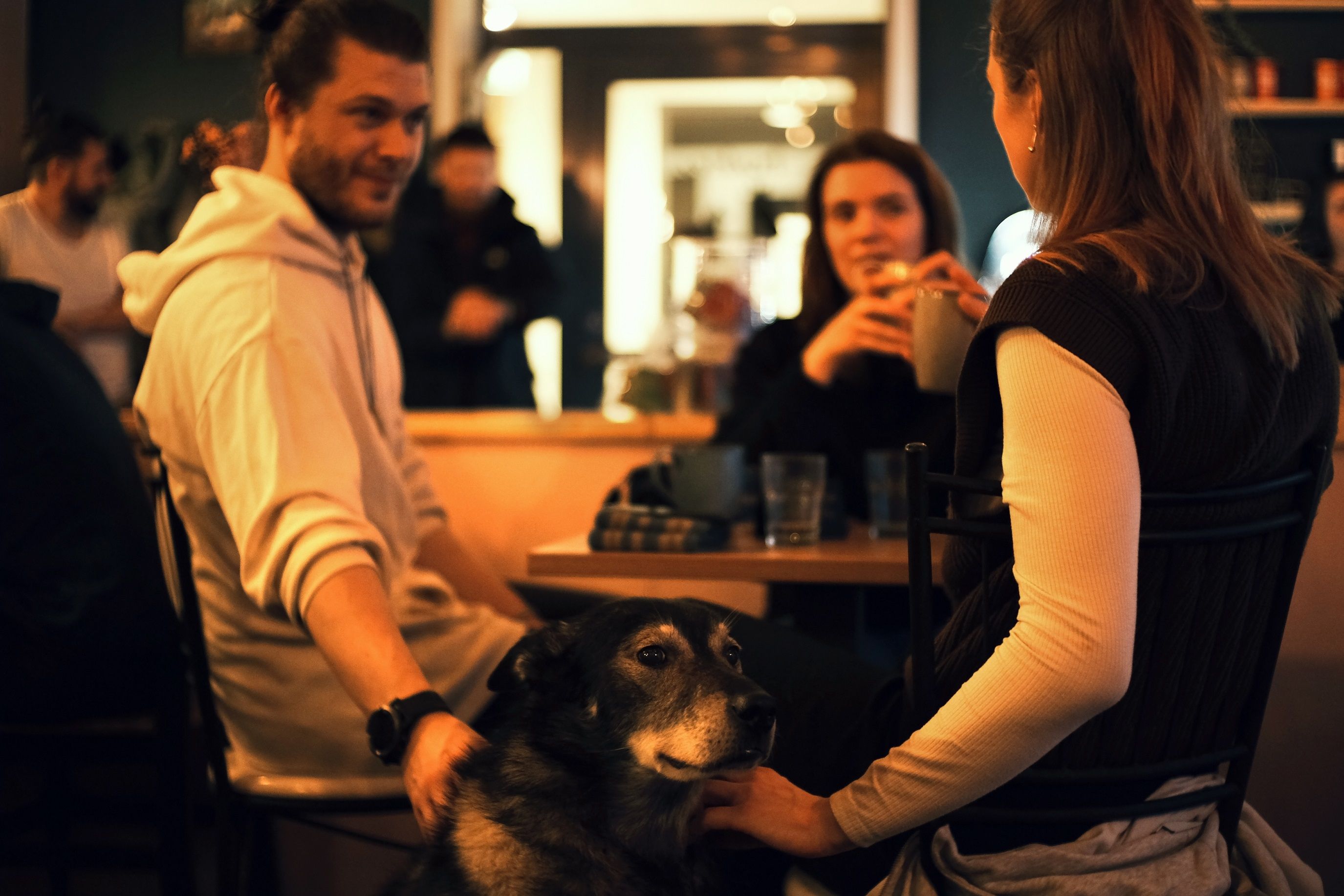 Guests around a table cuddling with a husky under the table while talking to each other.