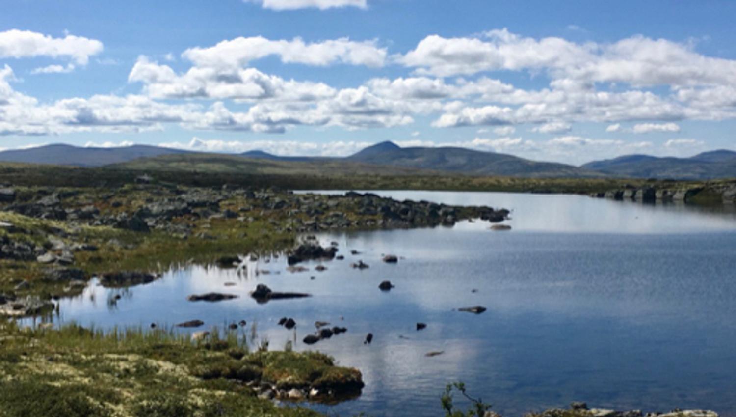 Utsikt over fjellvann og Rondane | Venabu Fjellhotell