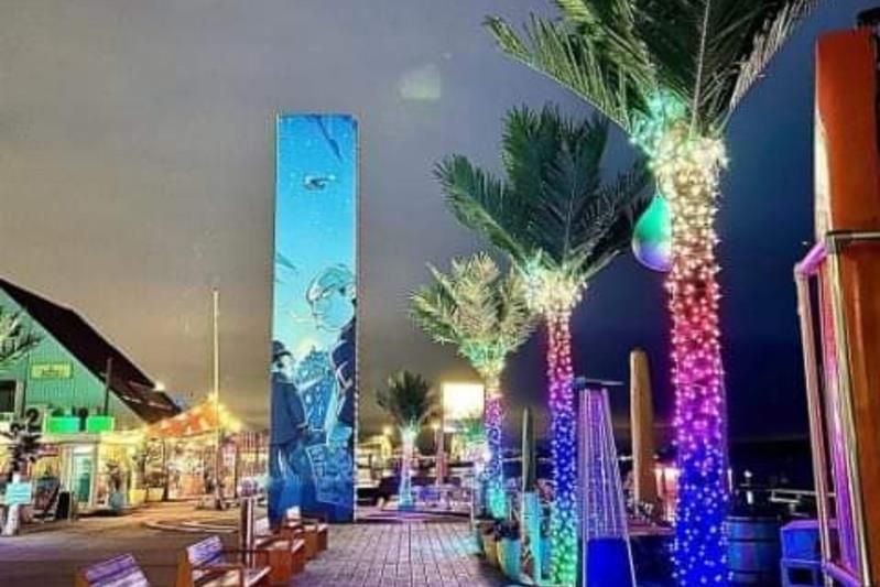 The pier with palm trees and benches