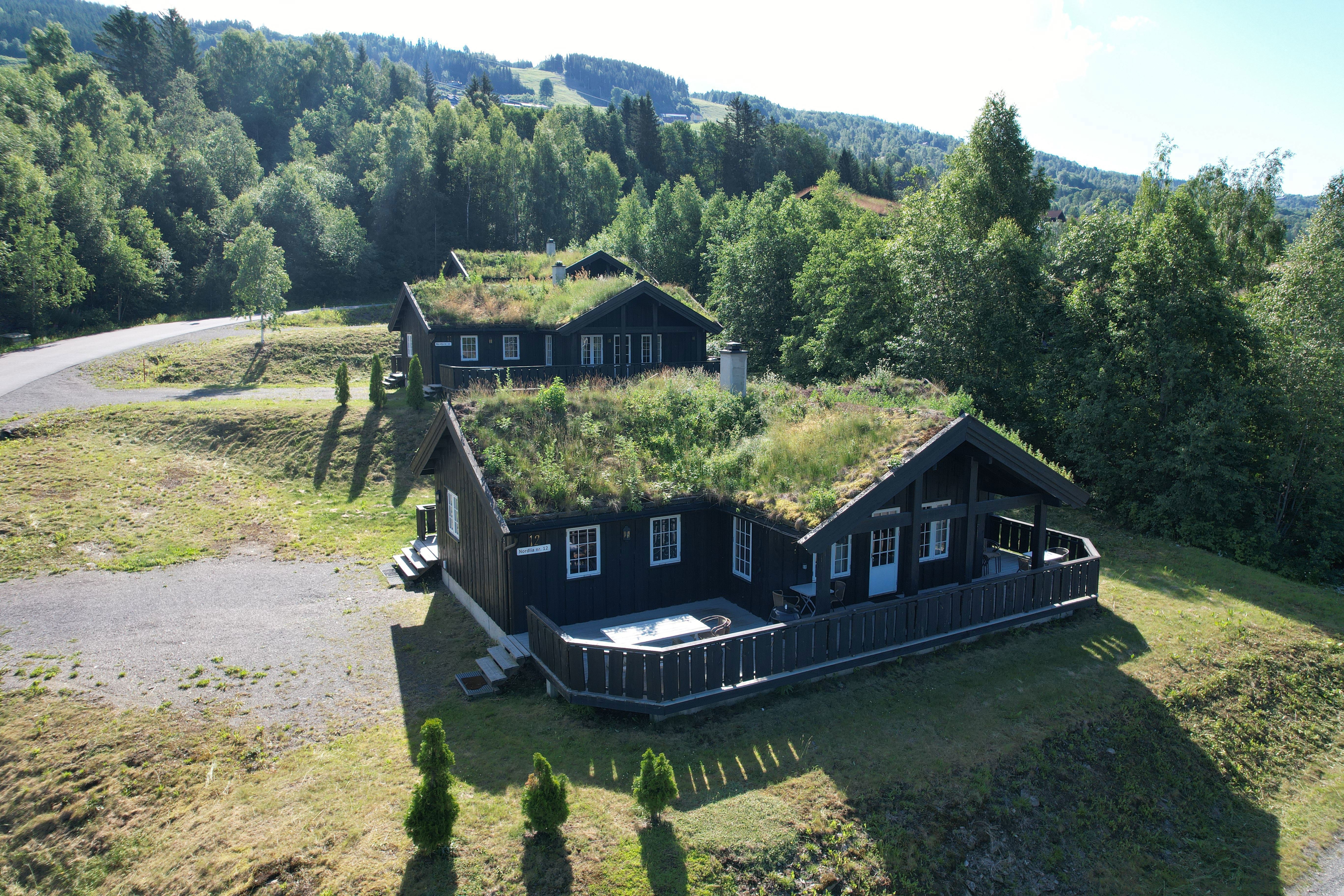 Nordlia 12