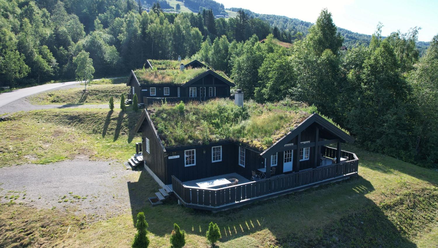 Nordlia 12