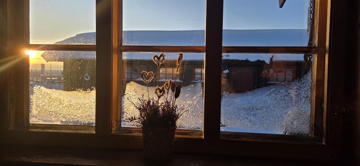 View from the window