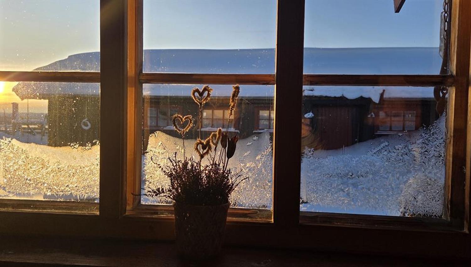 View from the window
