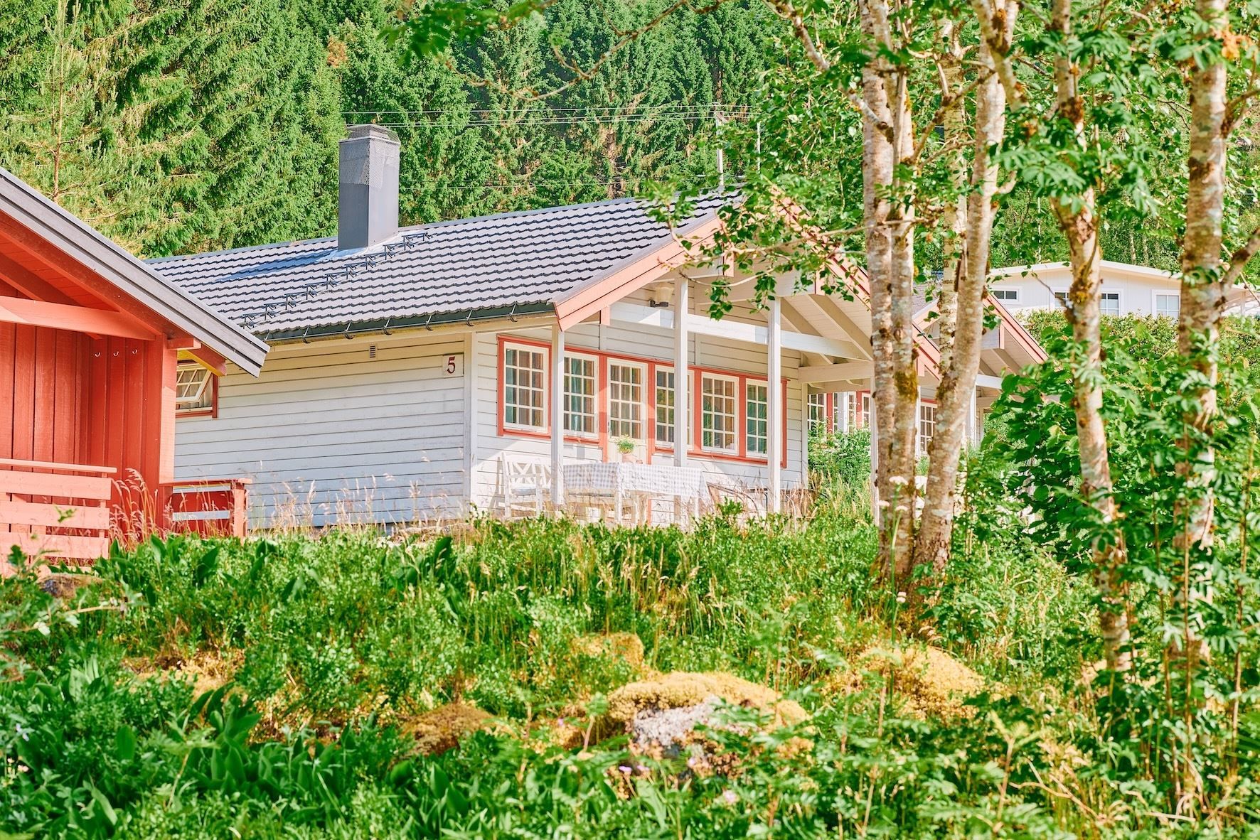 Lys grå hytte med raude vindauge og veranda, delvis skjult av bjørk og grøne plantar i sollys..