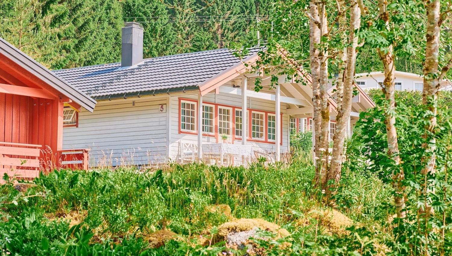 Lys grå hytte med raude vindauge og veranda, delvis skjult av bjørk og grøne plantar i sollys..