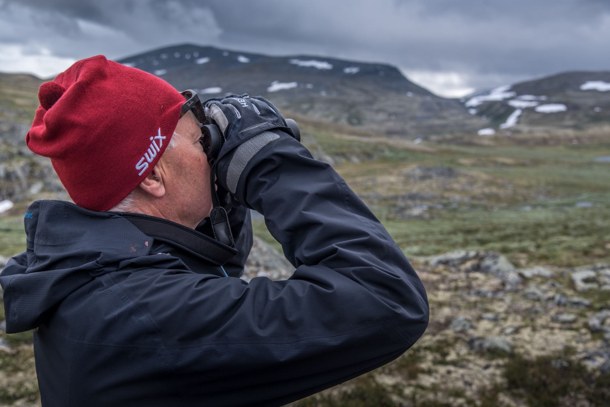 Musk Ox Safari Personal Tour, 2 days